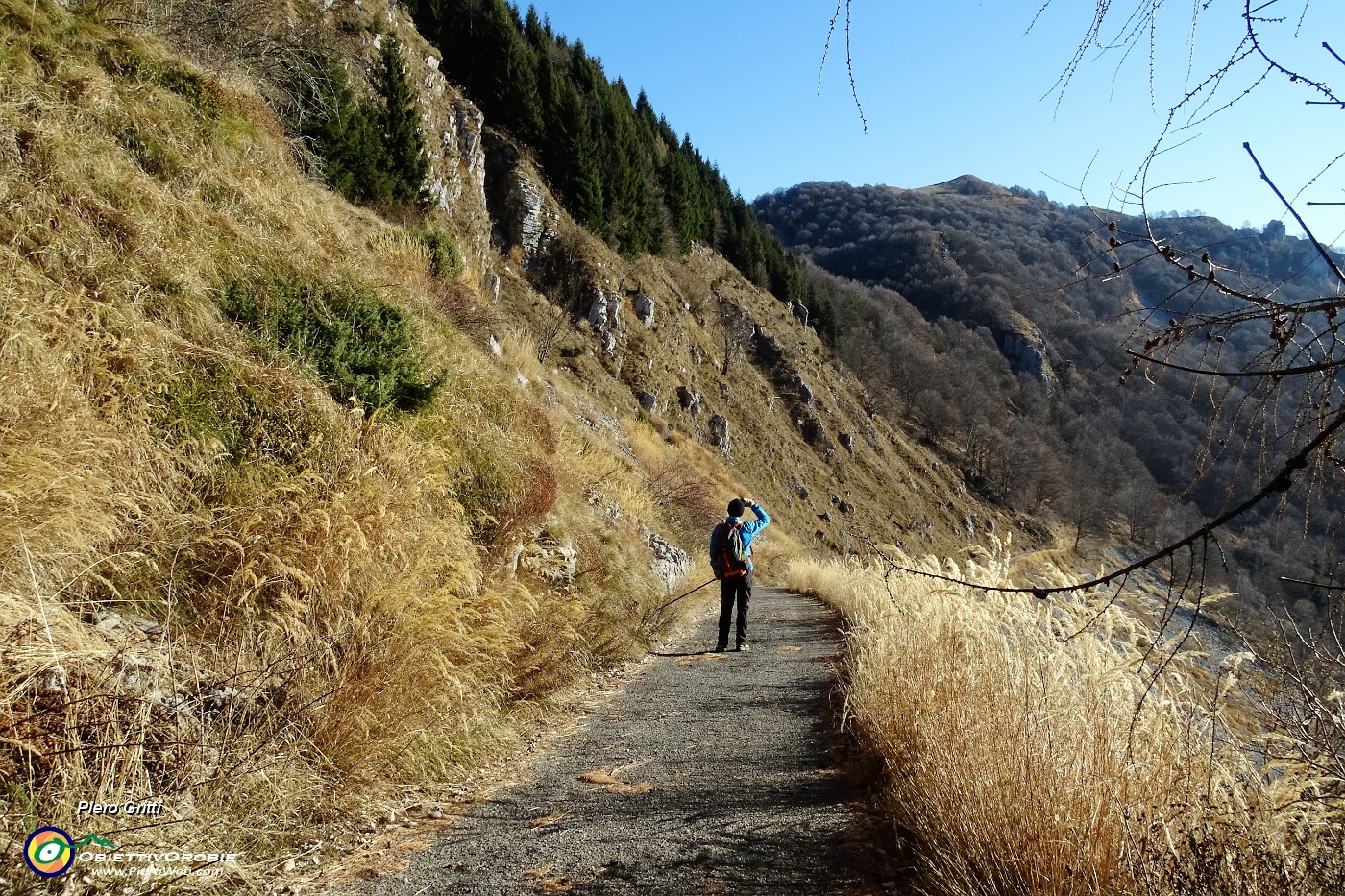 26 Stradetta ornata ai lati da alti steli d'erba secca con vista sulla cima de 'I Canti'.JPG